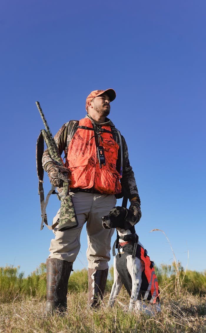 Man in hunting gear with trained pointer dog outdoors, under clear blue sky.